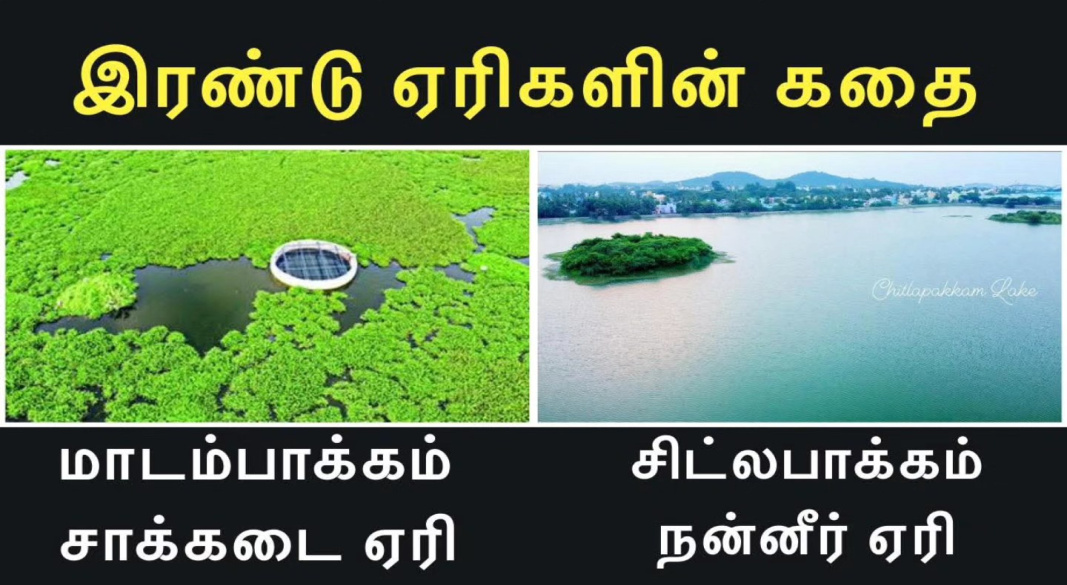 இரு ஏரிகள், ஒரு உண்மை – மாடம்பாக்கம்  சாகிறது, சிட்லபாக்கம் உயிர்த்தெழுகிறது!