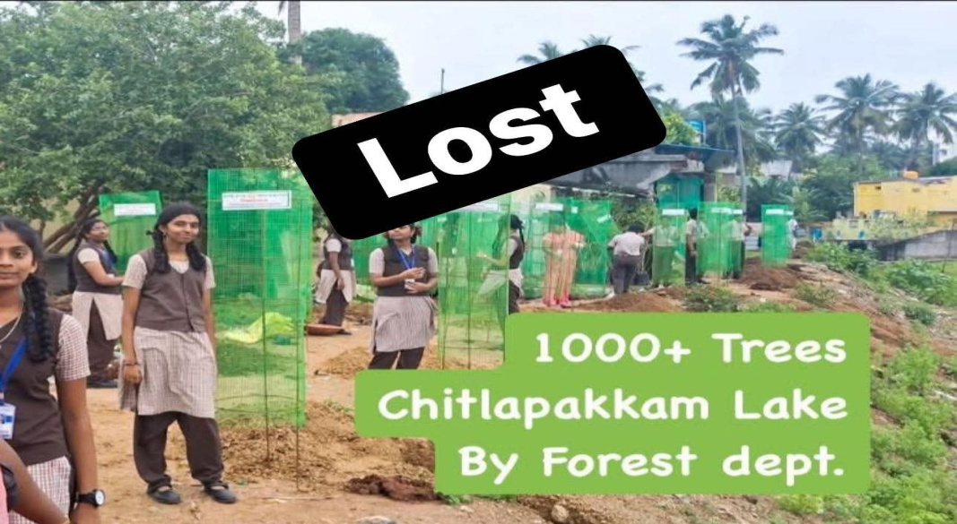 அணையைச் சுற்றி நடப்பட்ட 1000+ மரங்கள் பராமரிப்பு இன்றி சாய்வு: தாம்பரம் மாநகராட்சி, காடு துறை மற்றும் WRD மீது குற்றச்சாட்டு